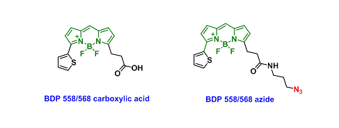 BDP 558/568